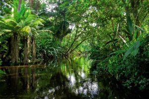 Gabon : Le parc national de Loango