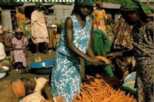 Les Soleils des indépendances- Ahmadou Kourouma