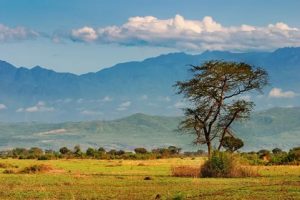 L&rsquo;Ouganda, la Perle de l&rsquo;Afrique