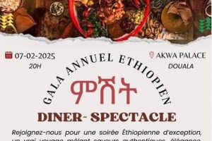 L’Ethiopie s’ouvre au Cameroun et l’Afrique